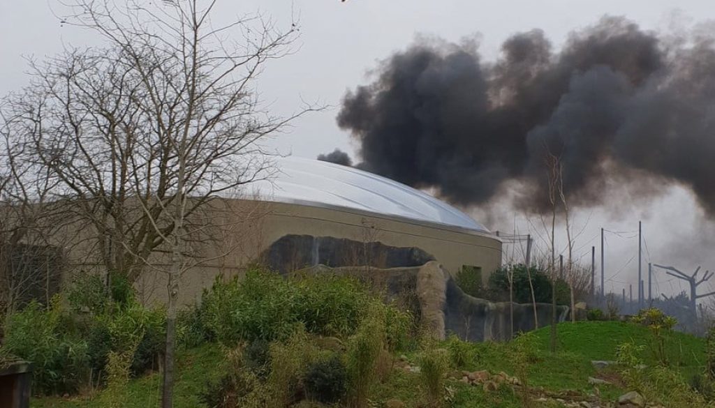 Large fire breaks out at Chester Zoo